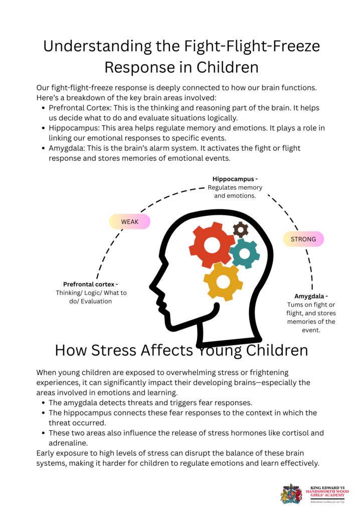 Understanding the Fight-Flight-Freeze Response in Children