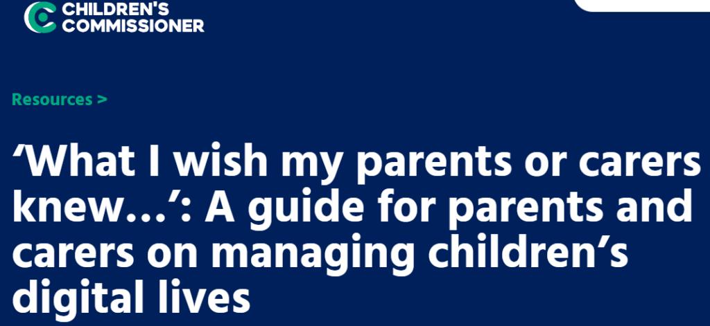 Childrens Commissioner