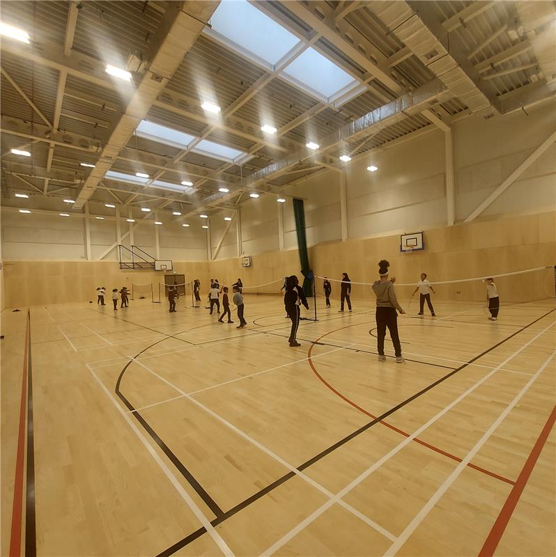 Primary School Badminton
